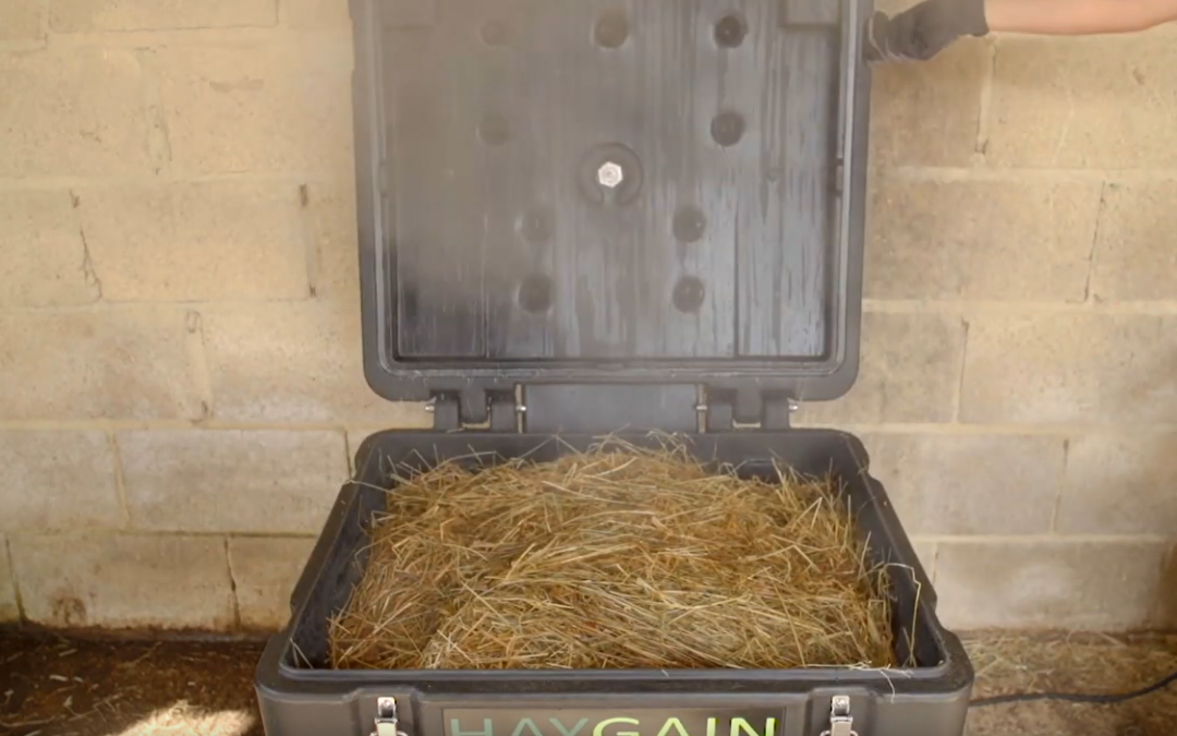 Friday Feature:  Haygain Hay Steamer for Horses