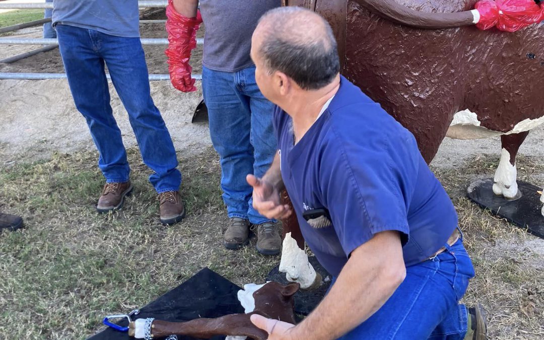 2023 Panhandle Cattlemen’s College – October 25-27