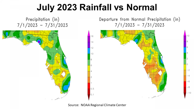 July 23 FL Rainfall vs Average