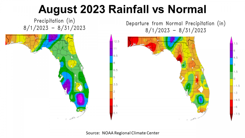 August 23 FL Rainfall vs Average