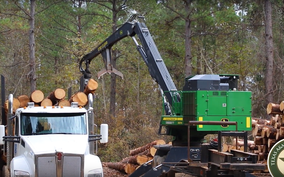 Friday Feature:  Harvesting Timber on Your Property – What You Need to Know