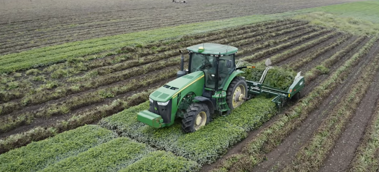 Friday Feature: What it Takes to Farm Peanuts | Panhandle Agriculture