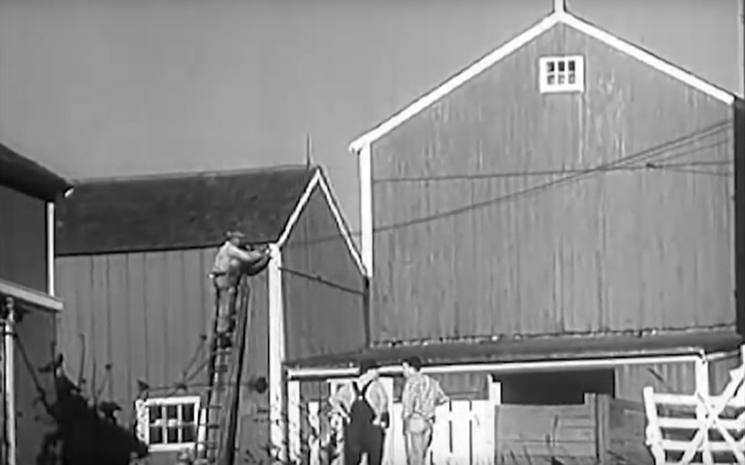 Friday Feature:  1950s Farm Electrification Documentary