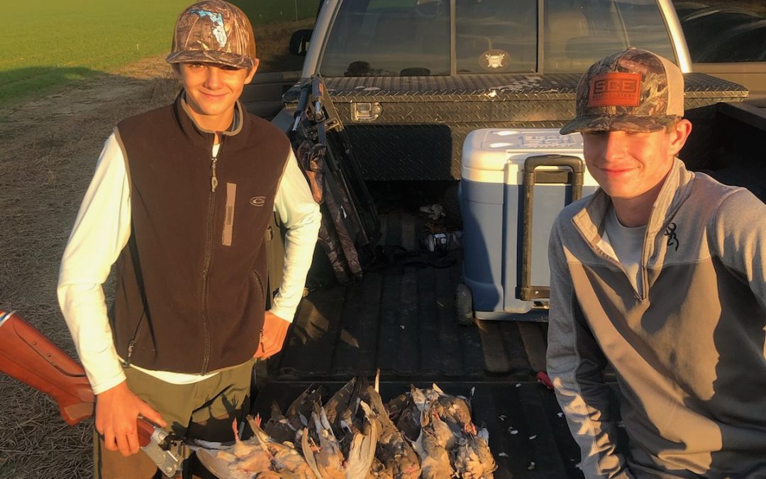Hunting Doves Over Crops: What’s Legal? What’s Not? – Clarification on Baiting