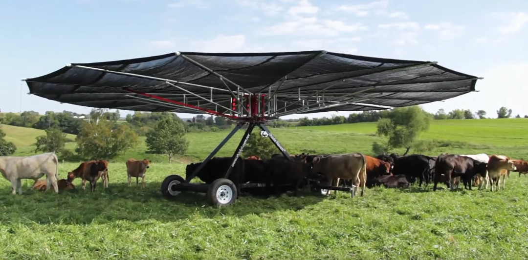 Friday Feature:  Portable Shade for Rotational Grazing