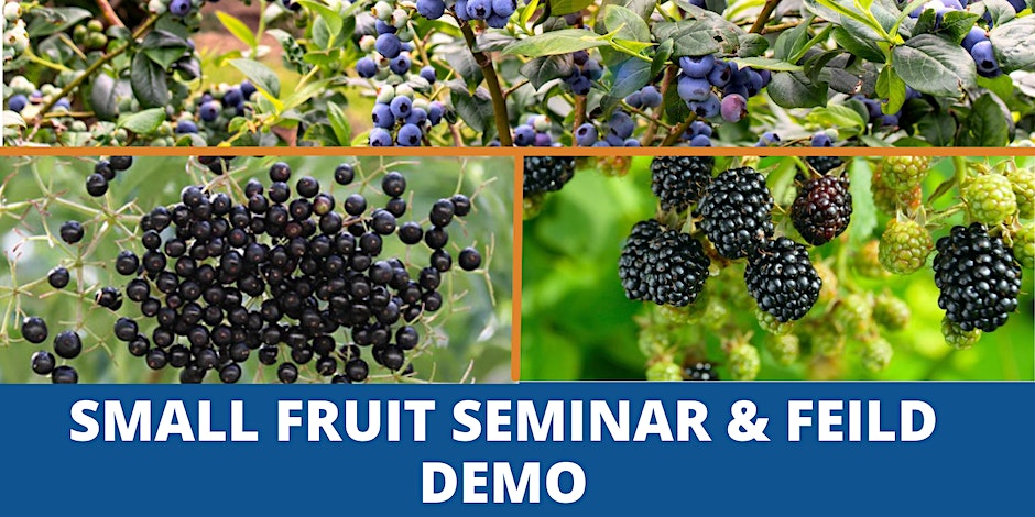 2024 Small Fruit Seminar & Field Demo – February 20