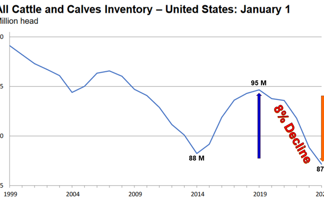 January 2024 US Cattle Inventory Down 2%