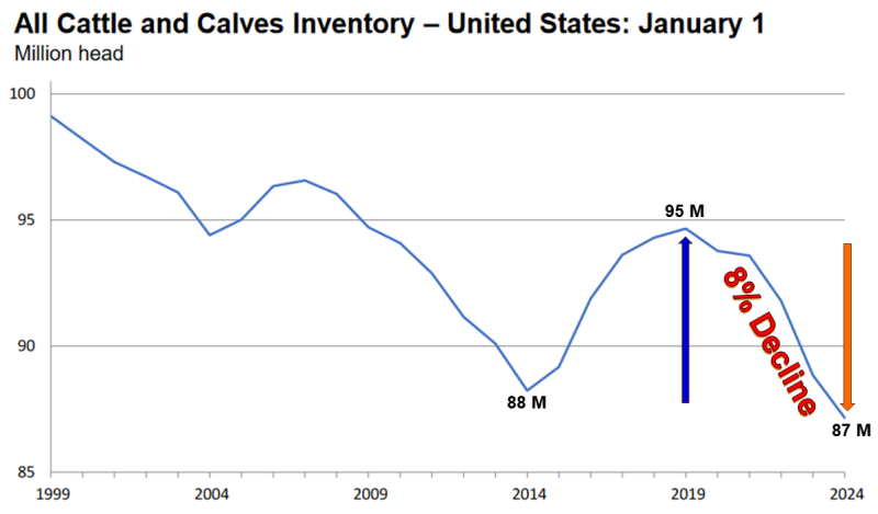 1999-2024 US All Cattle Inventory Chart