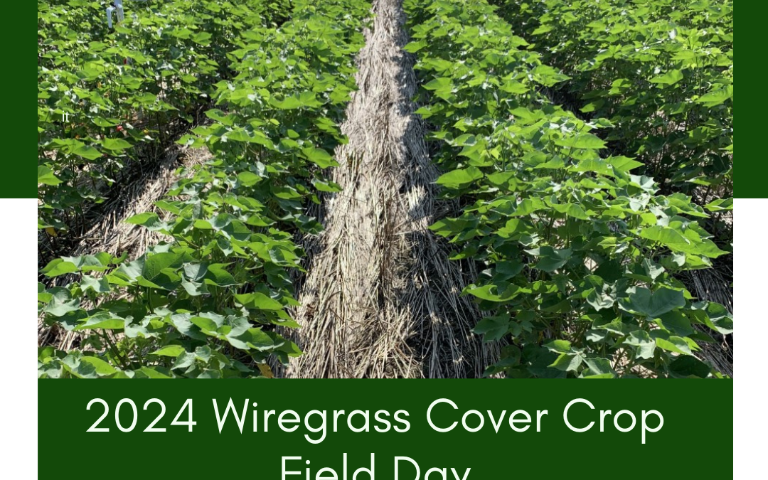 2024 Wiregrass Cover Crop Field Day – March 22