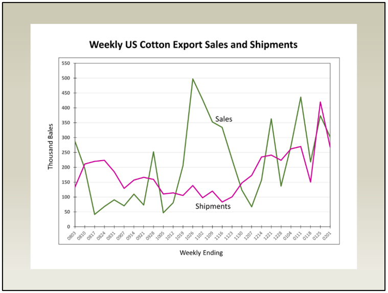 Cotton Marketing News:  USDA February Numbers Should Be Encouraging and Supportive