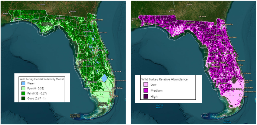 Figure 1 Turkey Habitat and Abundance in Florida
