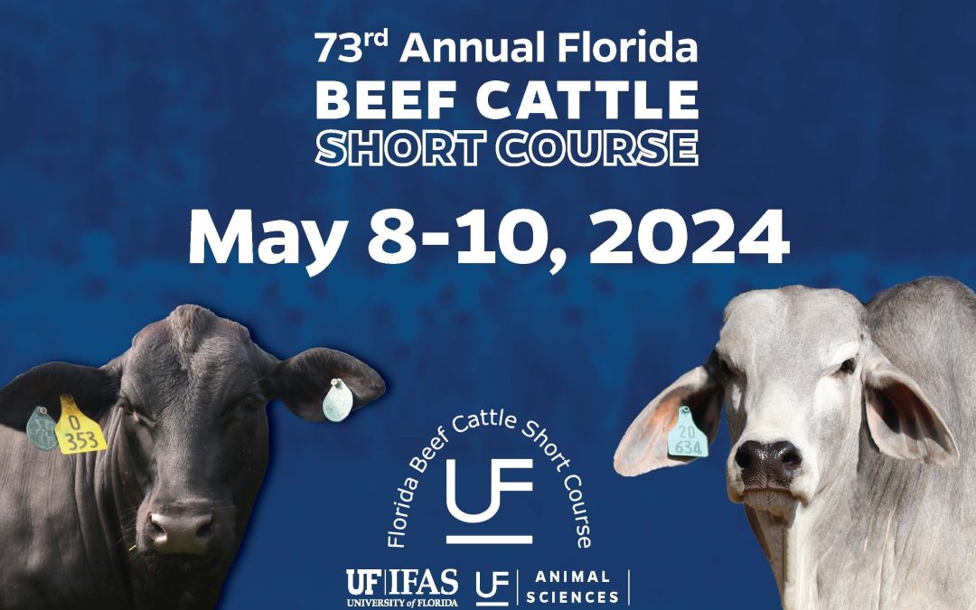2024 UF Beef Cattle Short Course – May 8-10