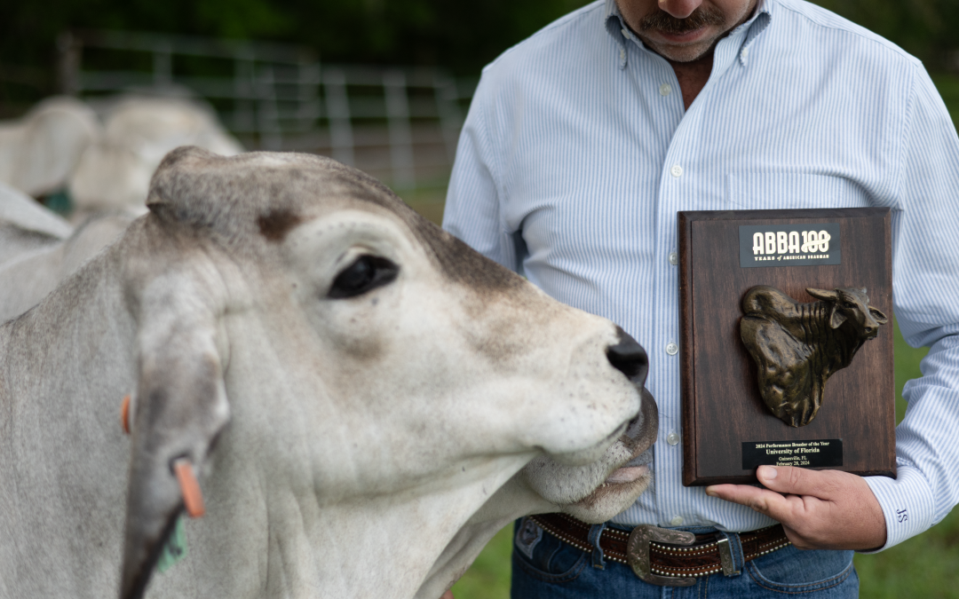 UF Animal Science Department Recognized as ABBA 2024 Performance Breeder of the Year