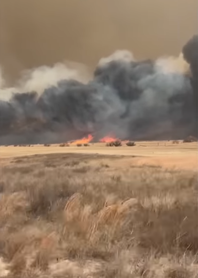 Friday Feature:  Texas Wildfires Devastating to Cattle and Range
