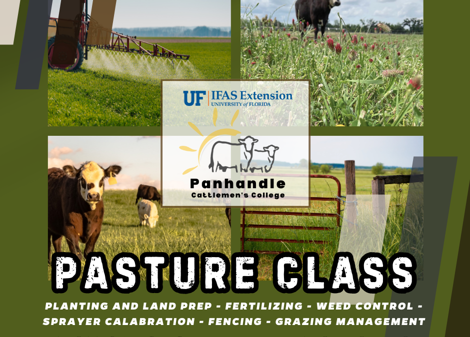 Panhandle Cattlemen’s College Pasture Class – May 31