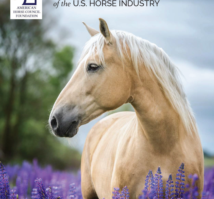Economic Impact Study Indicates the Florida Equine Industry Remains Strong