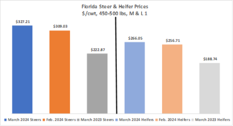 March 2024 Florida Cattle Market Update – Current and Future Feedlot ...