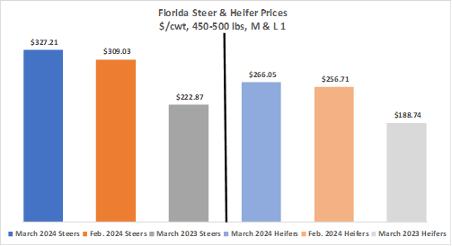 March 2024 Florida Cattle Market Update – Current and Future Feedlot Inventories