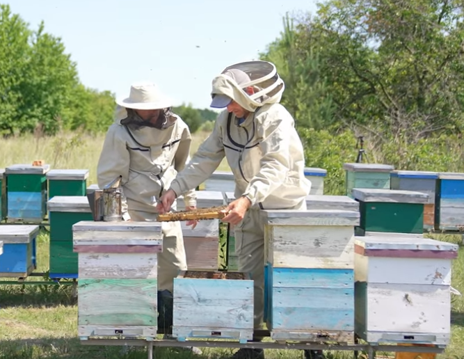 Friday Feature:  Honeybee Academy – Is Beekeeping Right for Me? & How much does it cost to get started?
