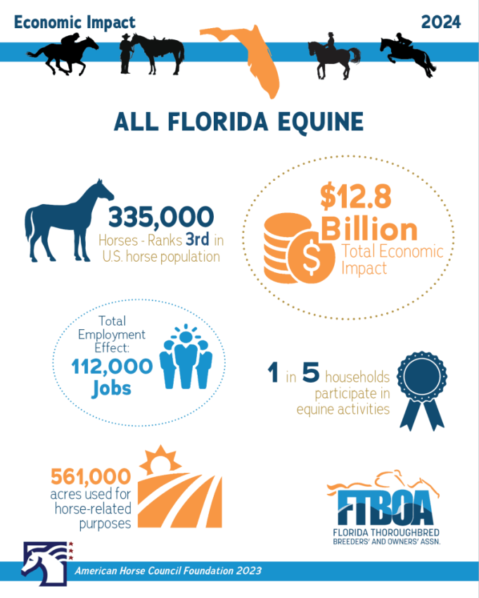 Florida Horse Impact Info Graphic
