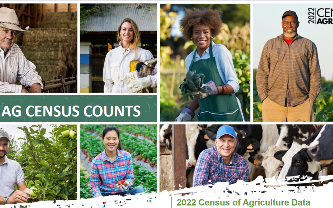 U.S., Florida, and Panhandle Farm Facts from the 2022 Census of Agriculture