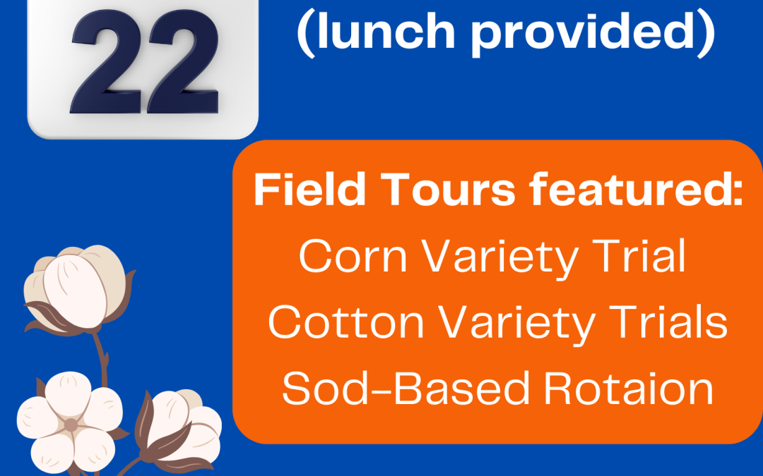 Corn & Cotton Variety Trial Field Day – July 22