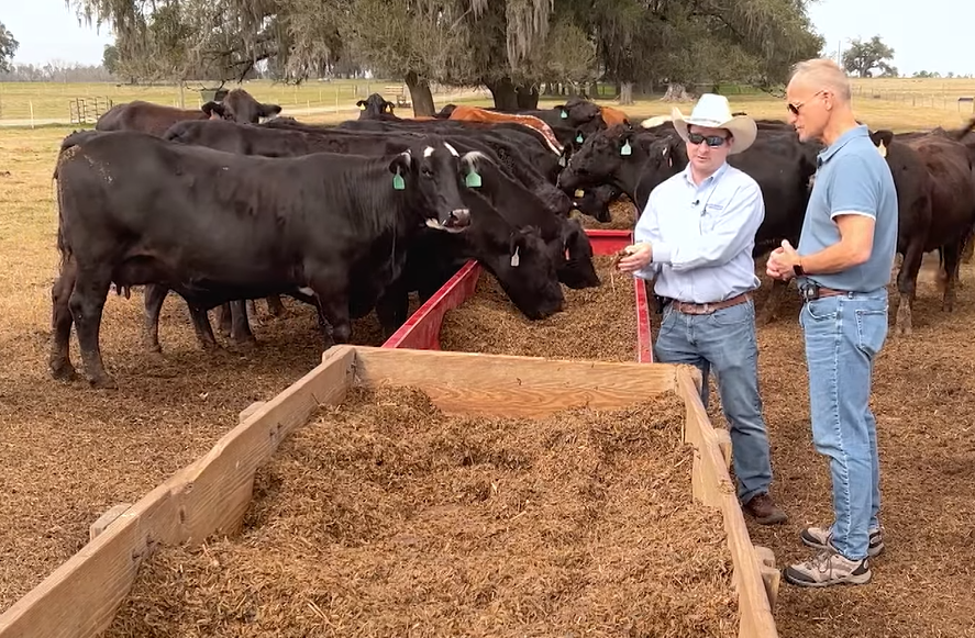 Friday Feature:  UF’s Nico DiLorinzo Discusses Research Trials to Reduce Methane from Cows