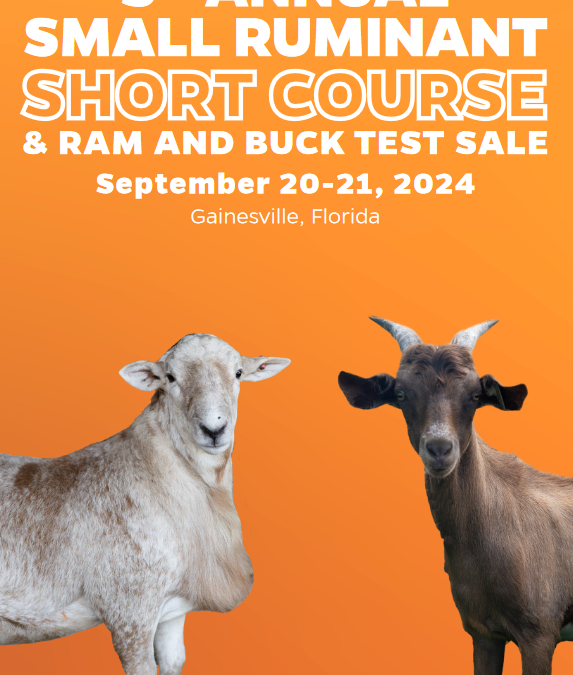 UF/IFAS Small Ruminant Short Course & Ram and Buck Sale – September 20-21