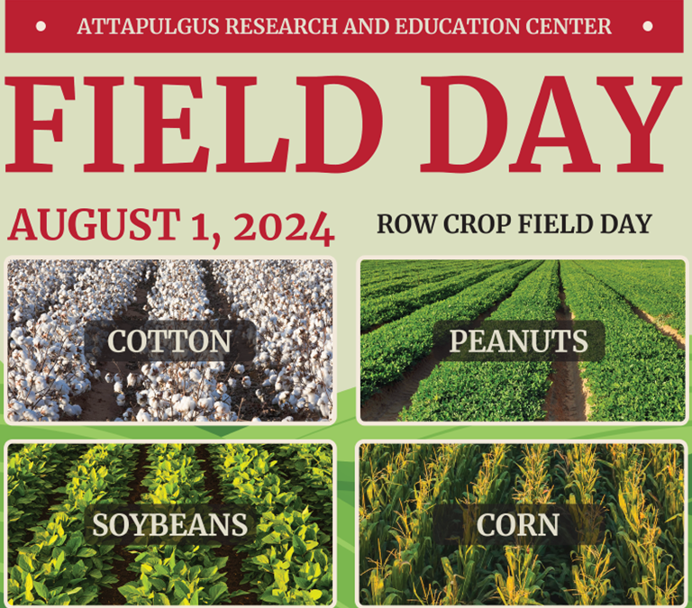 UGA Attapulgus Row Crop Field Day – August 1