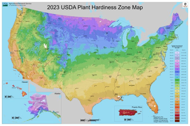 The USDA Plant Hardiness Zone map can help growers determine the most suitable varieties and planting times based on their region's climate and temperature extremes. Image by USDA.