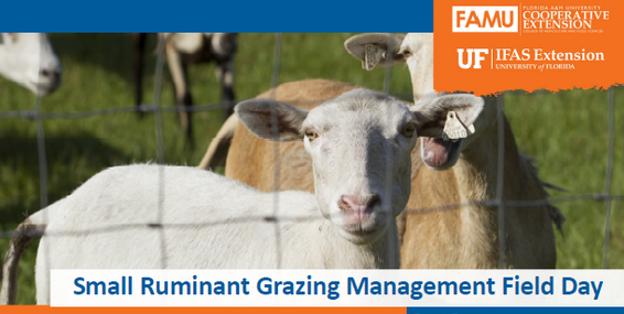 Small Ruminant Grazing Management Field Day – July 26