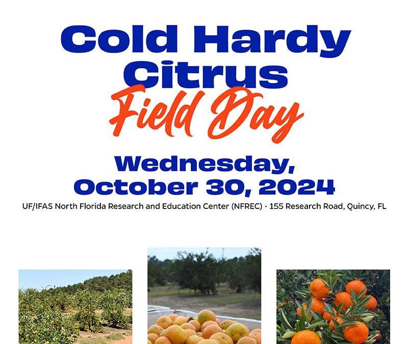 2024 Cold Hardy Citrus Field Day – October 30