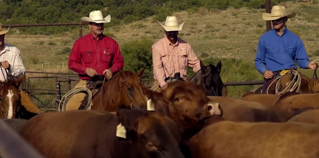 Friday Feature:  The Six Generation Legacy of RA Brown Ranch