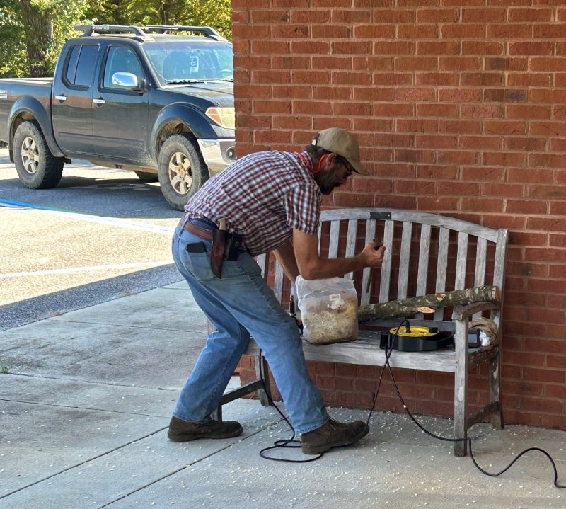 Mark Hainds of Sweetbill's Enterprises drilling holes in a soon-to-be inoculated mushroom log. Photo Credit: Matt Lollar, University of Florida/IFAS Extension - Santa Rosa County 