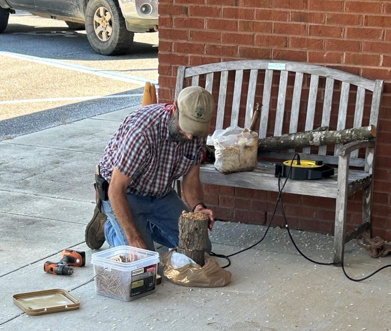 Mark Hainds of Sweetbill's Enterprises constructing a mushroom totem. 