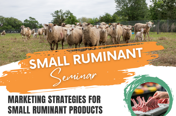 Marketing Strategies for Small Ruminant Seminar – November 4