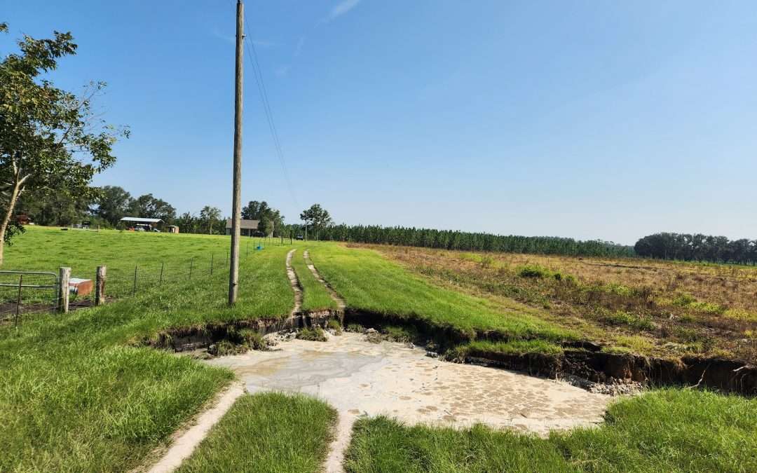 What to Do if Sinkholes Open on Your Property