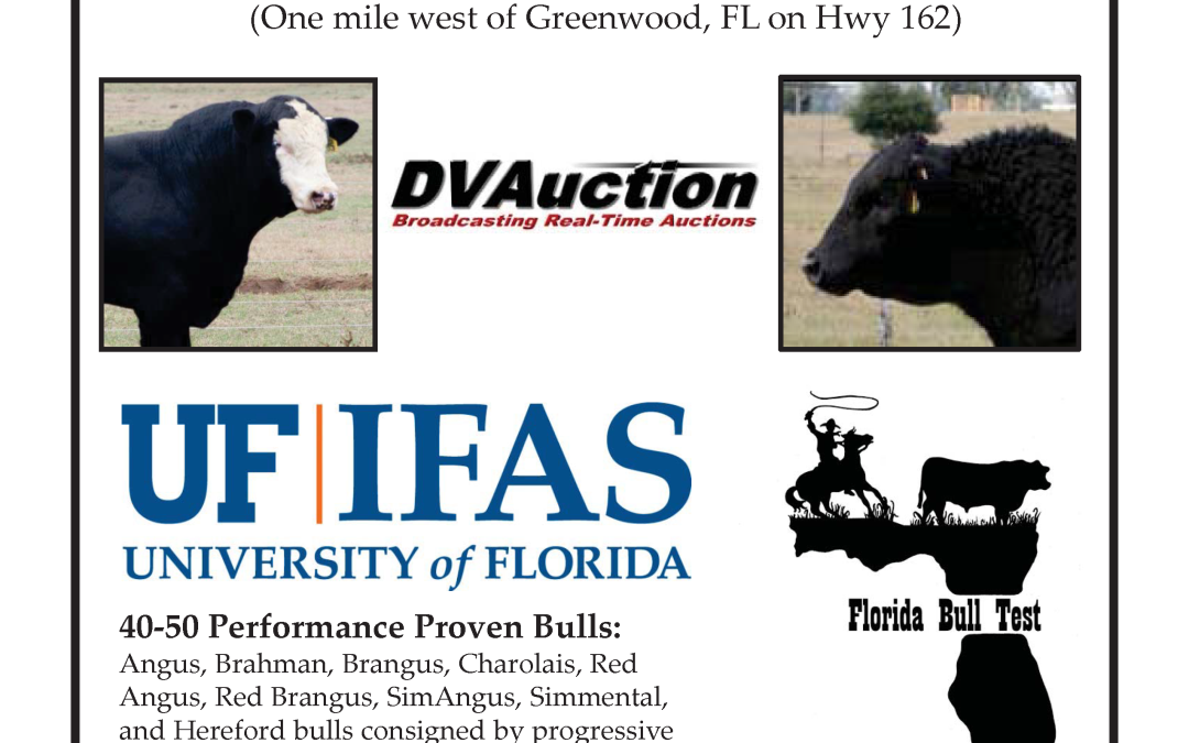 2025 Florida Bull Test Sale – January 18