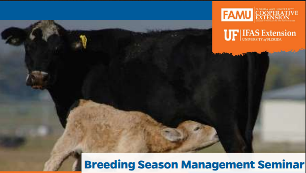 Cattle Breeding Season Management Seminar – December 10