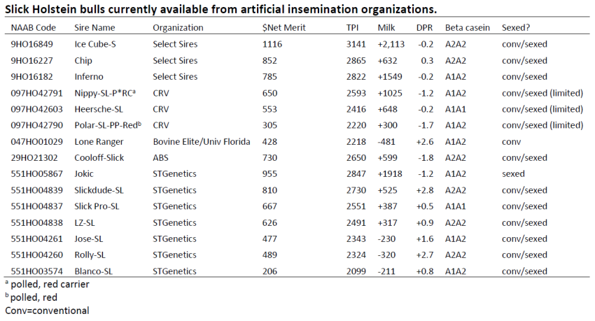 Table 1. Slick Haired Holstein Bulls available for AI