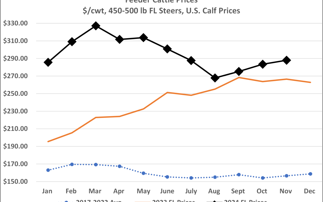 Florida Cattle Market Update:  A Recap of 2024