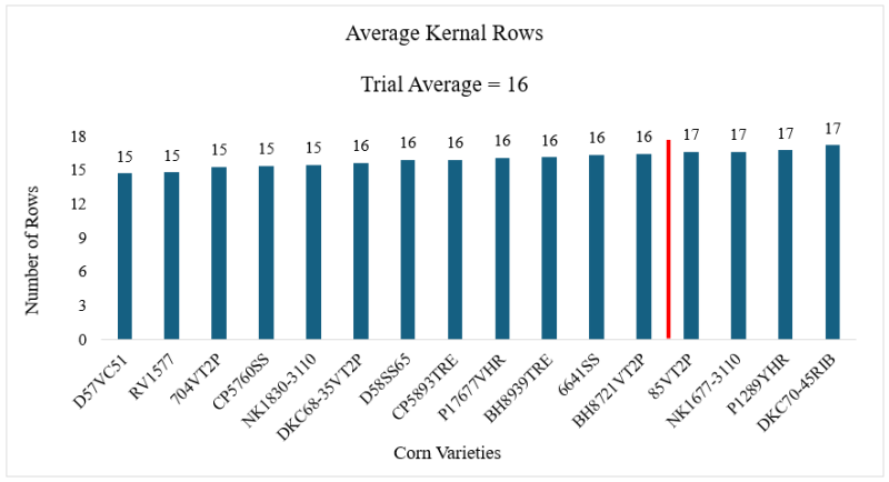 2024 Live Oak Corn Avg Kernal Rows