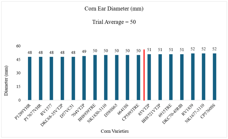 2024 Live Oak Corn Ear Diameter