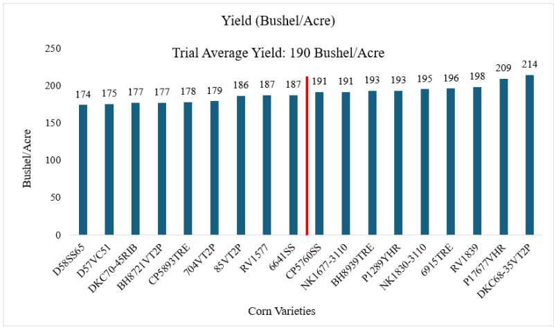 2024 Live Oak Corn Test Yield