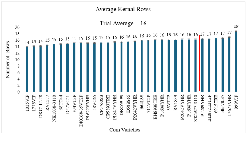 2024 Quincy Corn Avg Kernal Rows