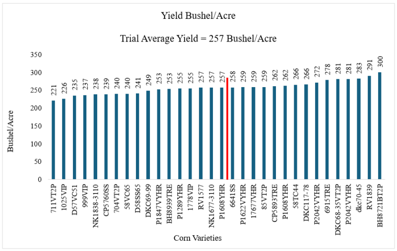  2024 Quincy Corn Test Yield