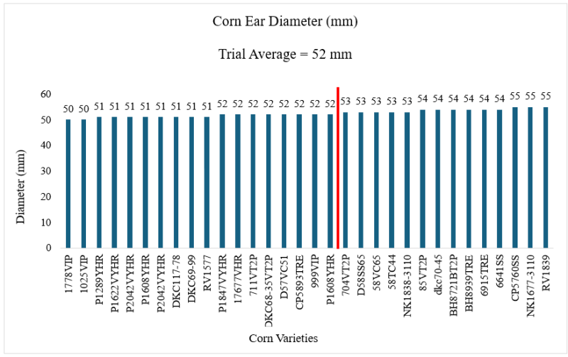 2024 Quincy Ear Diameter