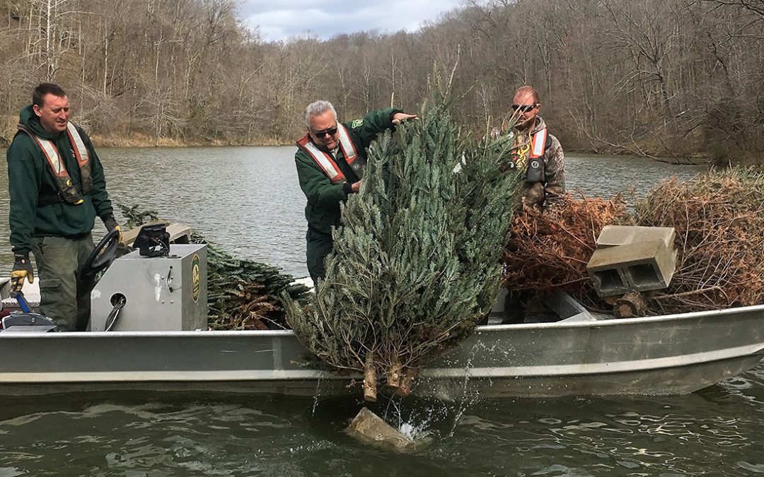 Repurposing Christmas Trees and Enhancing Pond Management for Aquatic Habitats