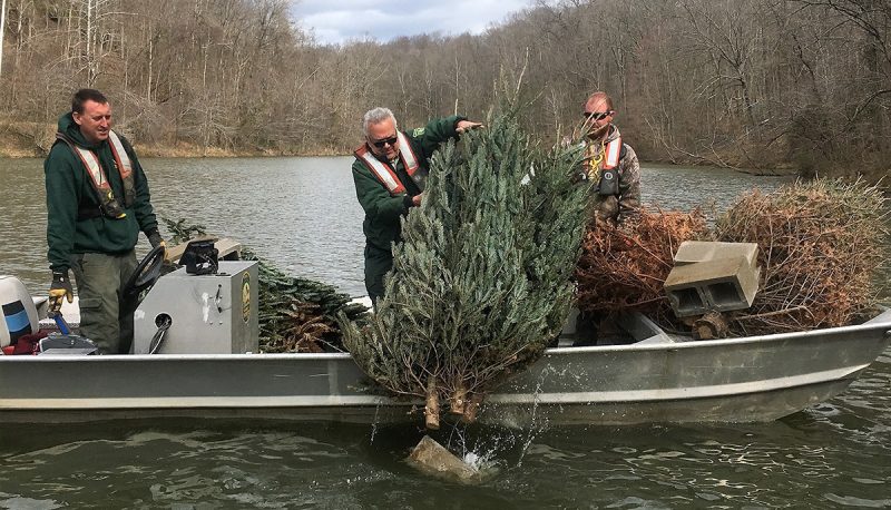 USDA Forest Service submerging Christmas trees - Credit: Glenn Finley