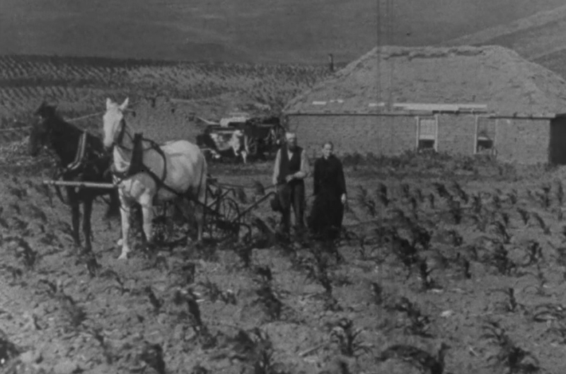 Friday Feature:  U.S. Farming from 1865 to 1900